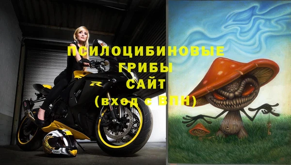 бутират Ладушкин